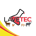 Home lavetec